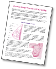 Breast Health Leaflet